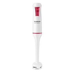 mixeur-plongeant-750w-robot-750-easy-taurus