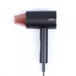 Sèche-cheveux ionique LIVOO