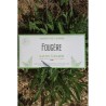 enveloppe-de-savon-a-raser-fougere-martin-de-candre