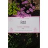 enveloppe-de-savon-a-raser-rose-martin-de-candre